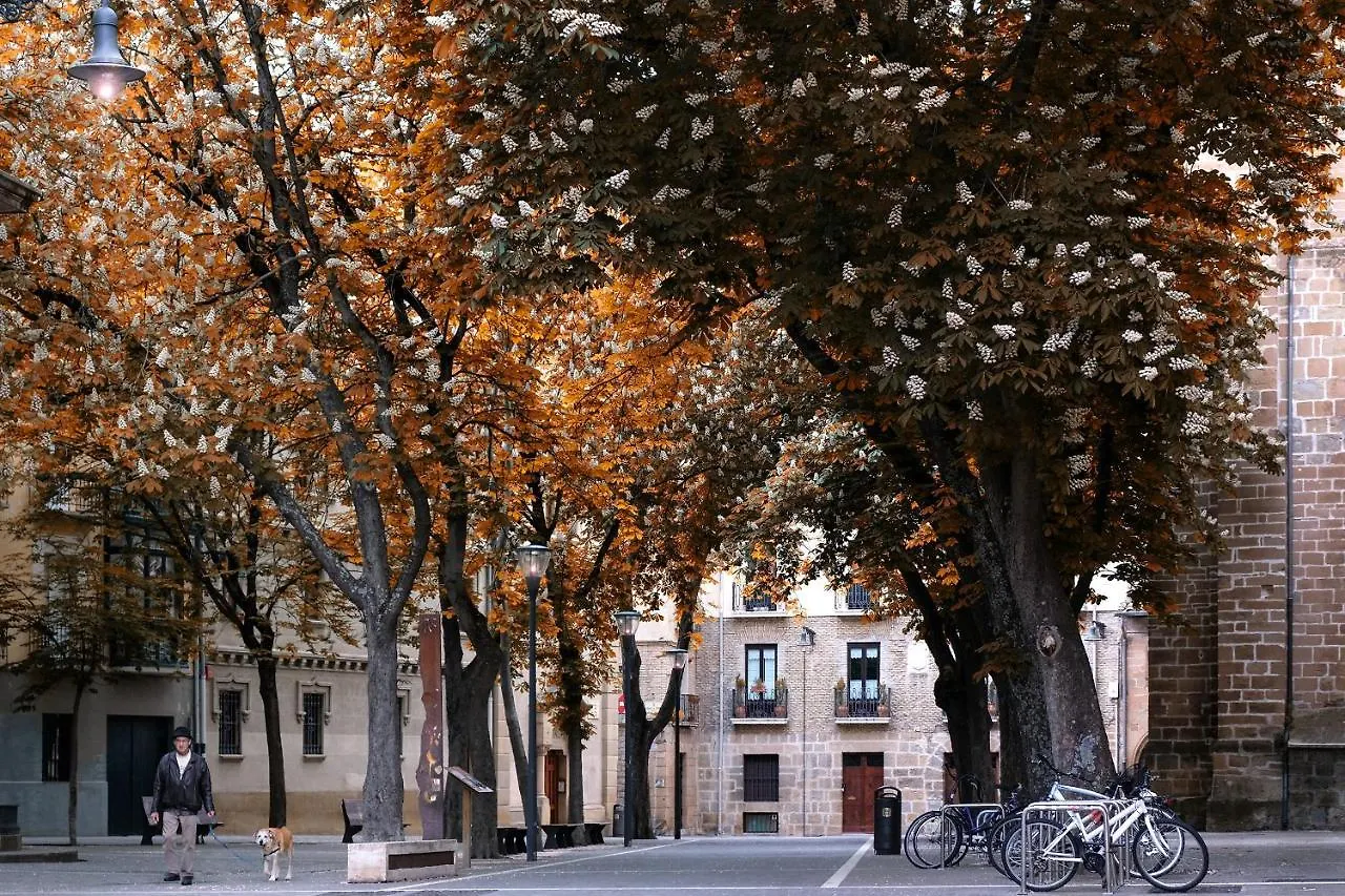 Top Apartment Frente A La Catedral Pamplona